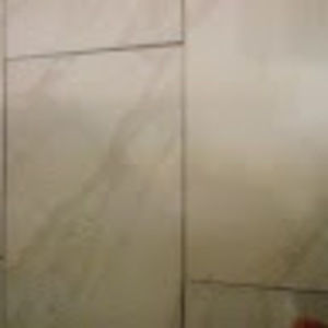 Meet your Posher, Antwone